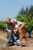 ADULTE ET CHIEN 324